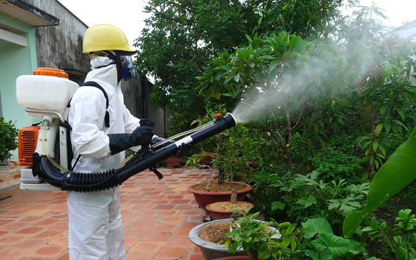 Dịch vụ phun thuốc diệt mối - Công Ty TNHH Thương Mại Dịch Vụ CT Việt